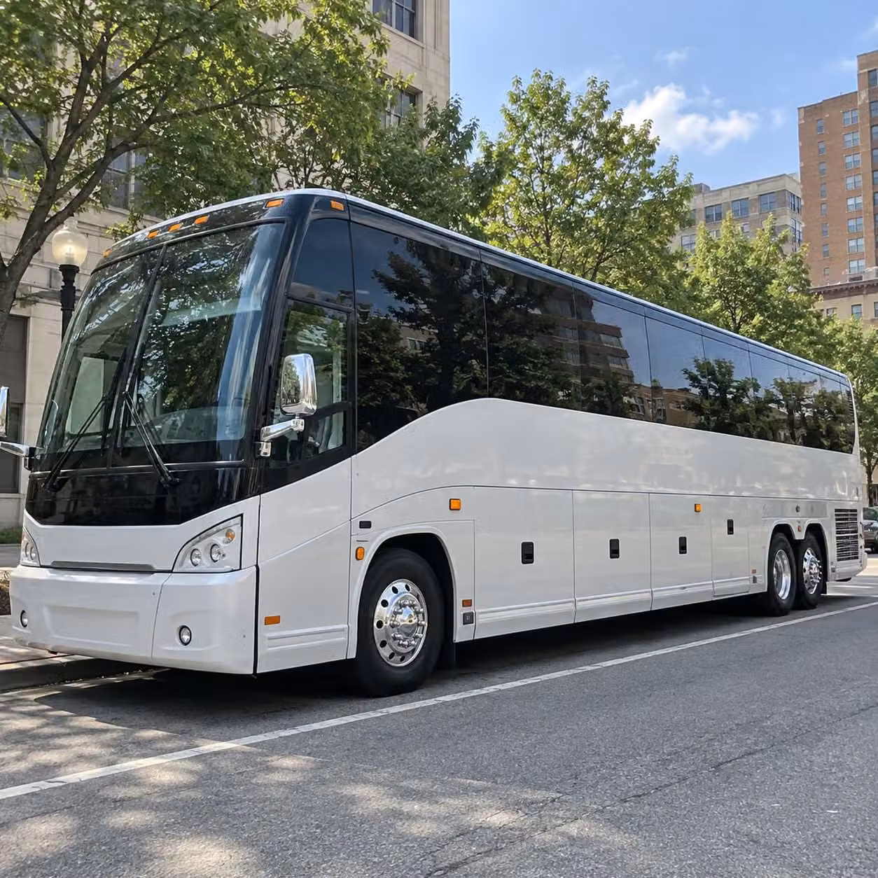 compare prom transportation options in pearland and beyond