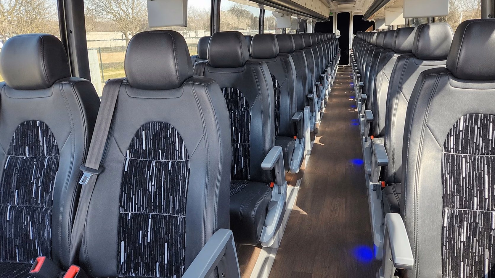 for pearland nature and outdoor field trips charter buses make it easy