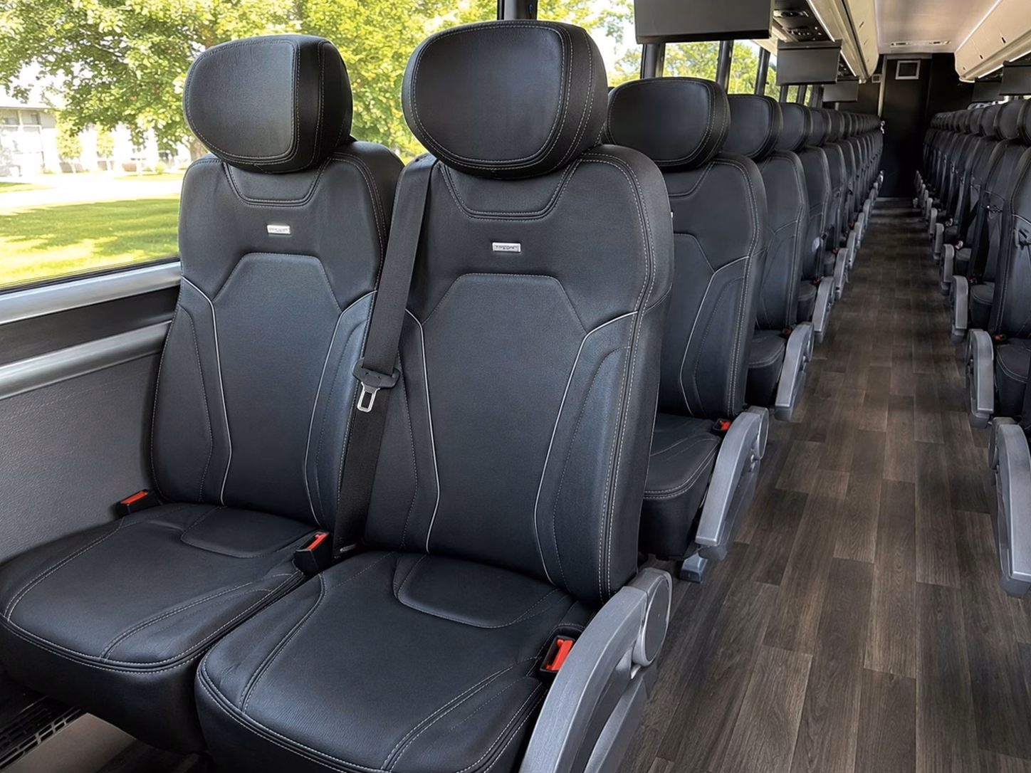 for the best field trip experience head to the houston zoo with a pearland charter bus