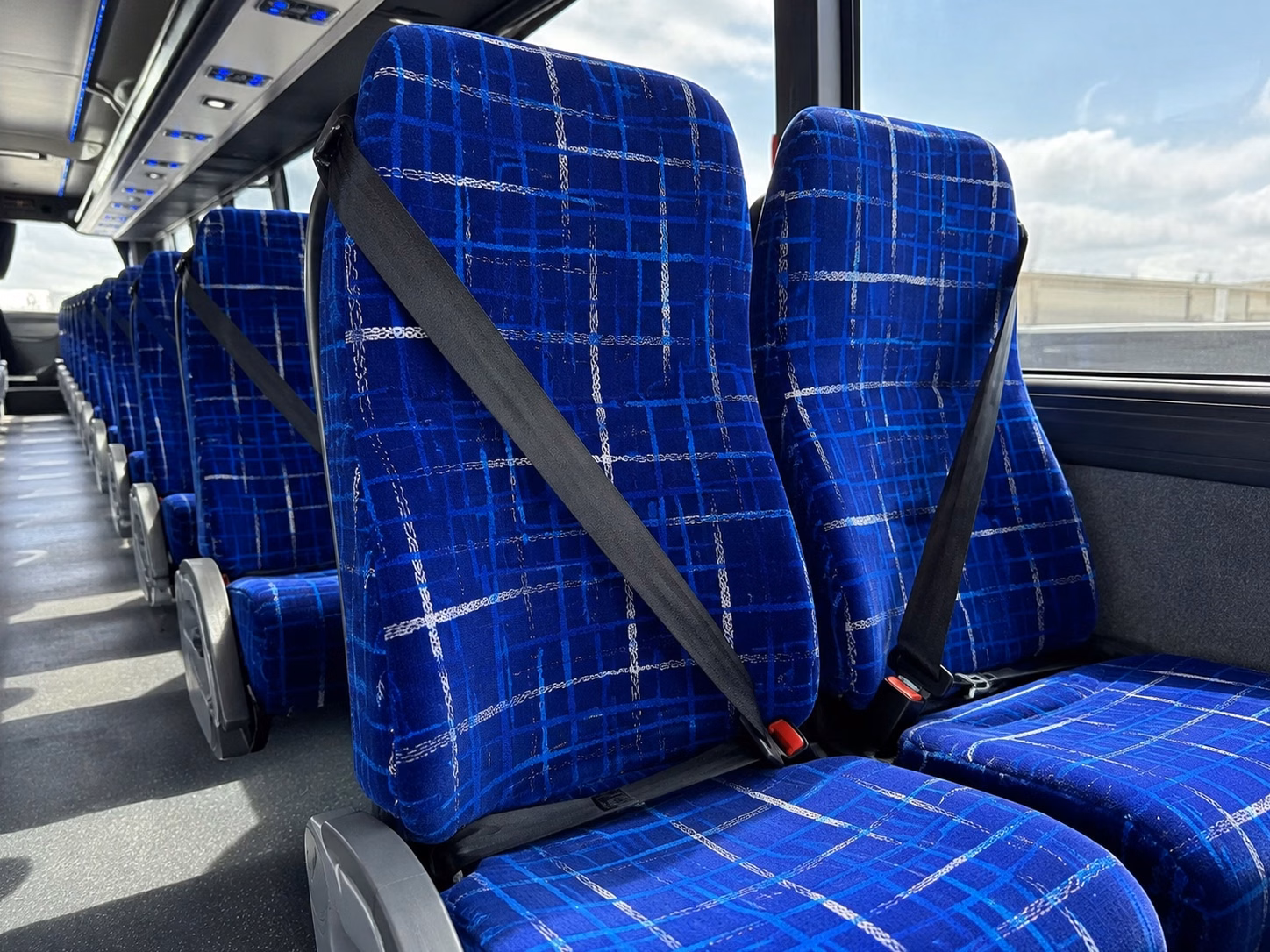pearland 56 passenger charter bus rental